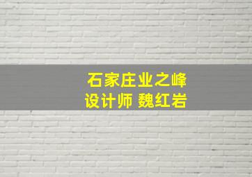 石家庄业之峰设计师 魏红岩